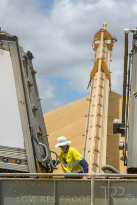December 2020 / Tailem_Bend_201221_0785