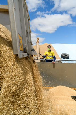 December 2020 / Tailem_Bend_201221_0788