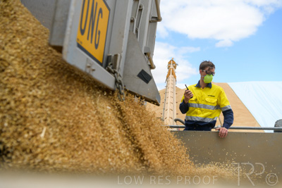 December 2020 / Tailem_Bend_201221_0802