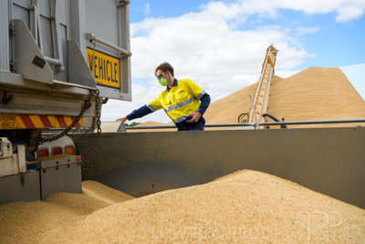 December 2020 / Tailem_Bend_201221_0810