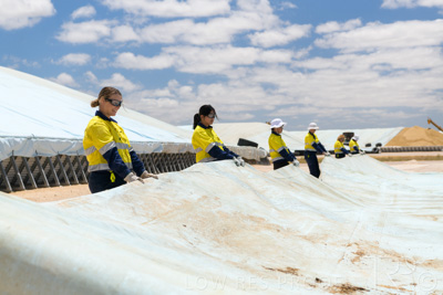 December 2020 / Tailem_Bend_201221_0821