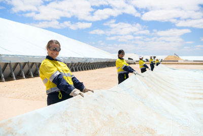December 2020 / Tailem_Bend_201221_0832