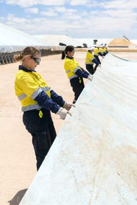 December 2020 / Tailem_Bend_201221_0843