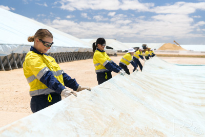 December 2020 / Tailem_Bend_201221_0850