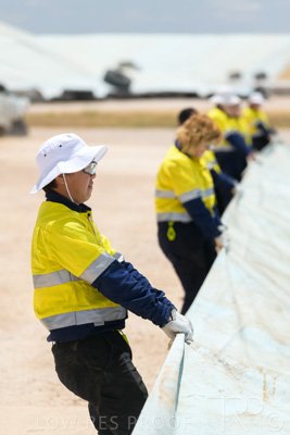 December 2020 / Tailem_Bend_201221_0863