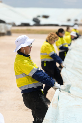 December 2020 / Tailem_Bend_201221_0864
