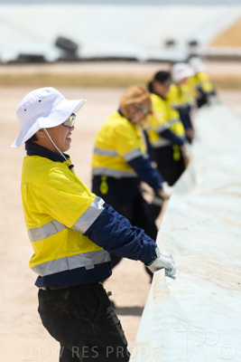 December 2020 / Tailem_Bend_201221_0867