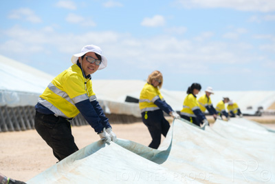 December 2020 / Tailem_Bend_201221_0875