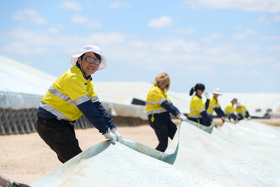 December 2020 / Tailem_Bend_201221_0877