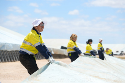 December 2020 / Tailem_Bend_201221_0881