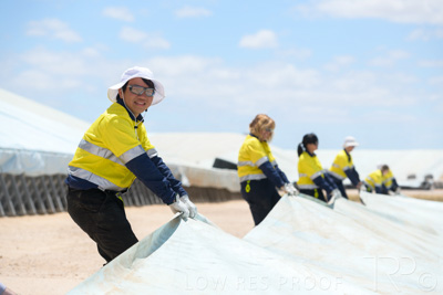 December 2020 / Tailem_Bend_201221_0883