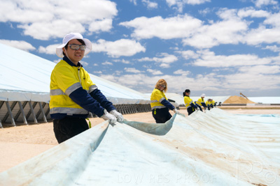 December 2020 / Tailem_Bend_201221_0884