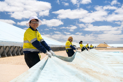 December 2020 / Tailem_Bend_201221_0886