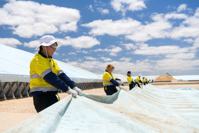 December 2020 / Tailem_Bend_201221_0889
