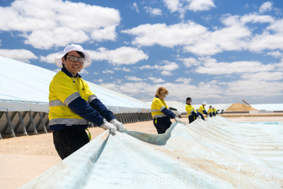 December 2020 / Tailem_Bend_201221_0891