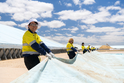 December 2020 / Tailem_Bend_201221_0893