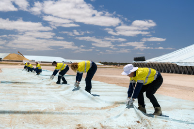 December 2020 / Tailem_Bend_201221_0895