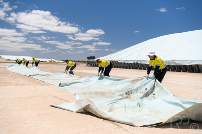 December 2020 / Tailem_Bend_201221_0902