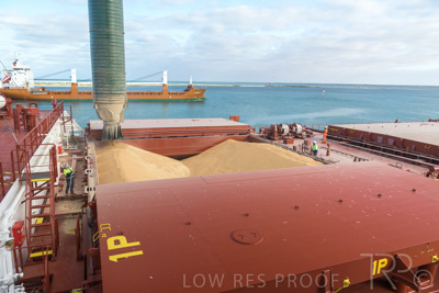 January 2021 / OUTER_HARBOR_SA_001