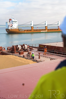 January 2021 / OUTER_HARBOR_SA_006