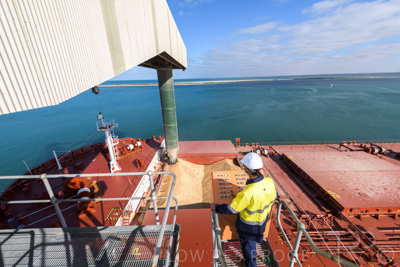 January 2021 / OUTER_HARBOR_SA_062