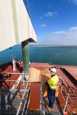 January 2021 / OUTER_HARBOR_SA_066