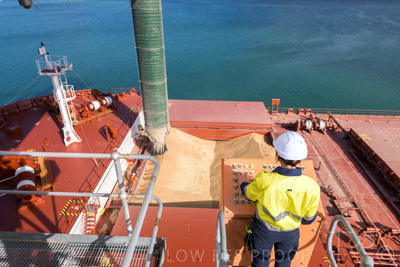 January 2021 / OUTER_HARBOR_SA_071