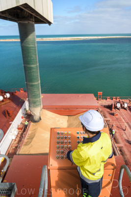 January 2021 / OUTER_HARBOR_SA_084