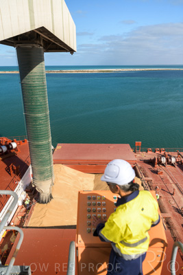 January 2021 / OUTER_HARBOR_SA_094