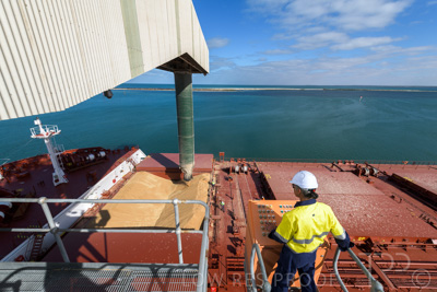 January 2021 / OUTER_HARBOR_SA_115