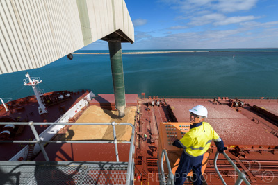 January 2021 / OUTER_HARBOR_SA_116