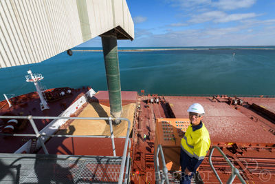 January 2021 / OUTER_HARBOR_SA_117