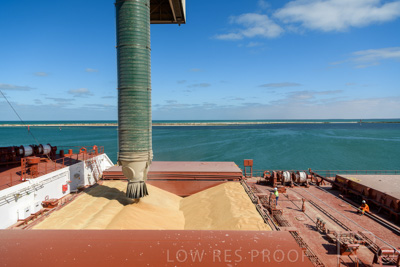 January 2021 / OUTER_HARBOR_SA_217