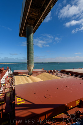 January 2021 / OUTER_HARBOR_SA_221