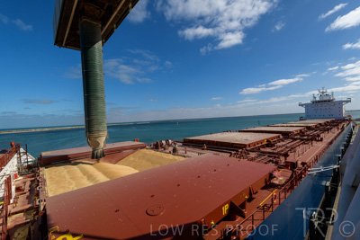 January 2021 / OUTER_HARBOR_SA_223