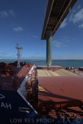 January 2021 / OUTER_HARBOR_SA_224