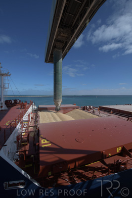 January 2021 / OUTER_HARBOR_SA_225