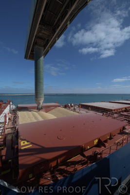 January 2021 / OUTER_HARBOR_SA_226