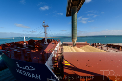 January 2021 / OUTER_HARBOR_SA_231