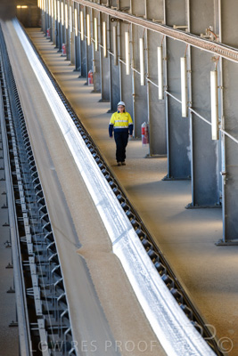 January 2021 / OUTER_HARBOR_SA_233