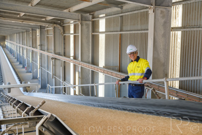 January 2021 / OUTER_HARBOR_SA_309