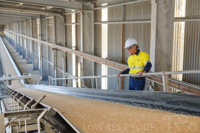 January 2021 / OUTER_HARBOR_SA_311