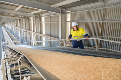 January 2021 / OUTER_HARBOR_SA_318