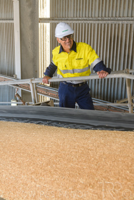 January 2021 / OUTER_HARBOR_SA_319