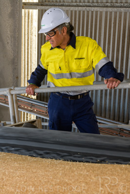 January 2021 / OUTER_HARBOR_SA_320