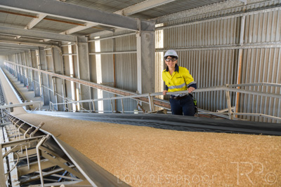 January 2021 / OUTER_HARBOR_SA_329