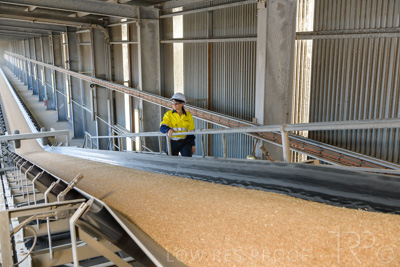 January 2021 / OUTER_HARBOR_SA_330