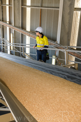 January 2021 / OUTER_HARBOR_SA_335