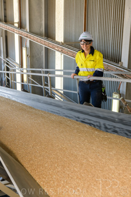 January 2021 / OUTER_HARBOR_SA_337