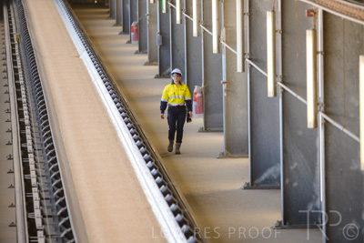 January 2021 / OUTER_HARBOR_SA_338